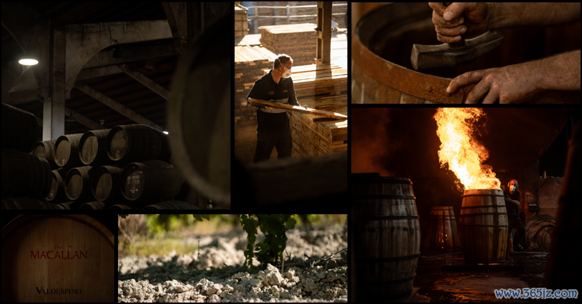 每滴麦卡伦核心高年份系列都历时约130年的“从橡木果到杯中酒”周期